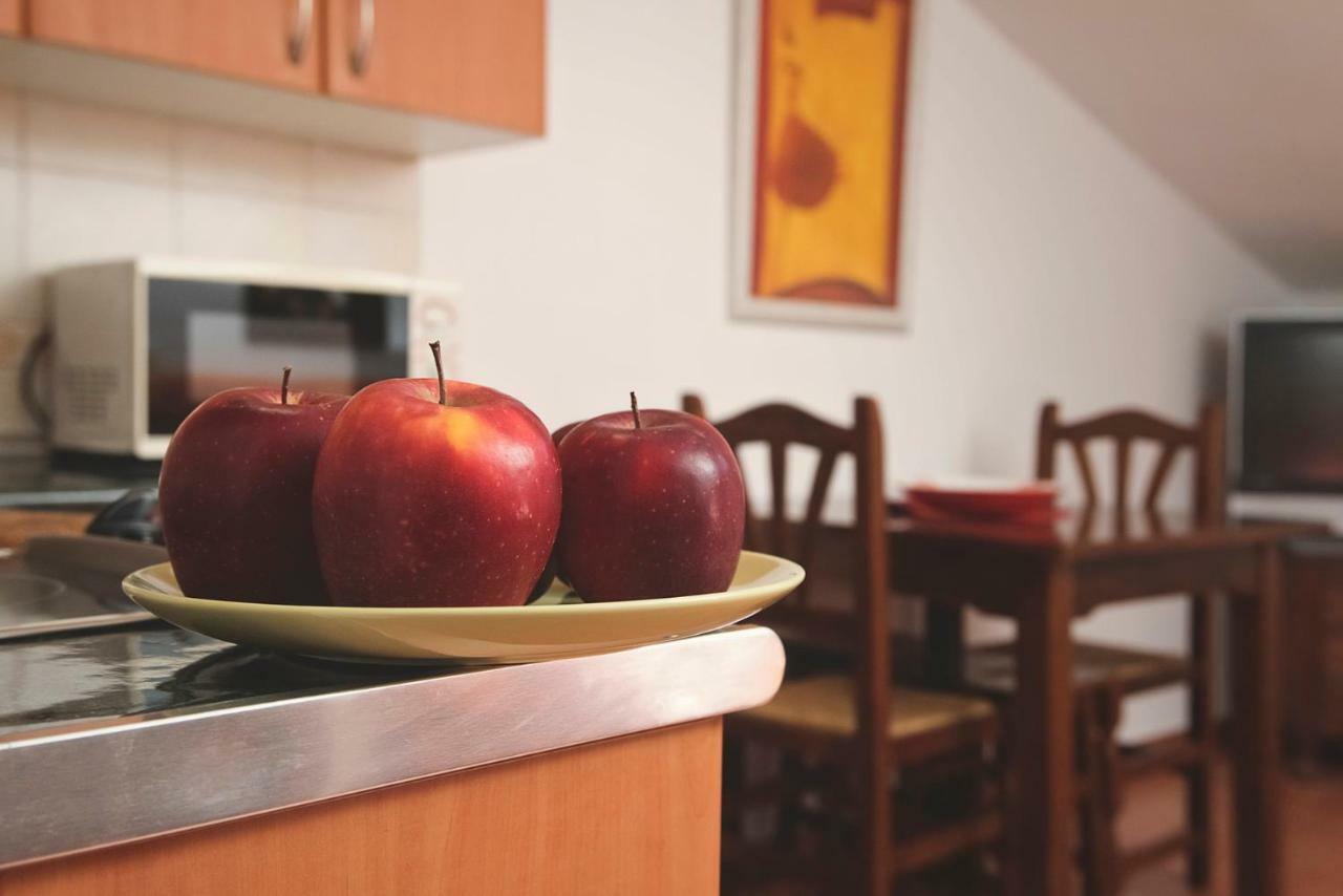 Apartamento 1 Casa Rural El Sauce. A 2,5 Km De Cuenca Capital Ноалес Экстерьер фото